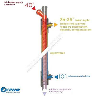 Grafika ZYPHO P 65 Pionowy